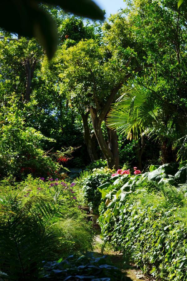 Villa Preziosa Al Pizzo 3 Km Da Sorrento Sant'Agnello Exteriör bild