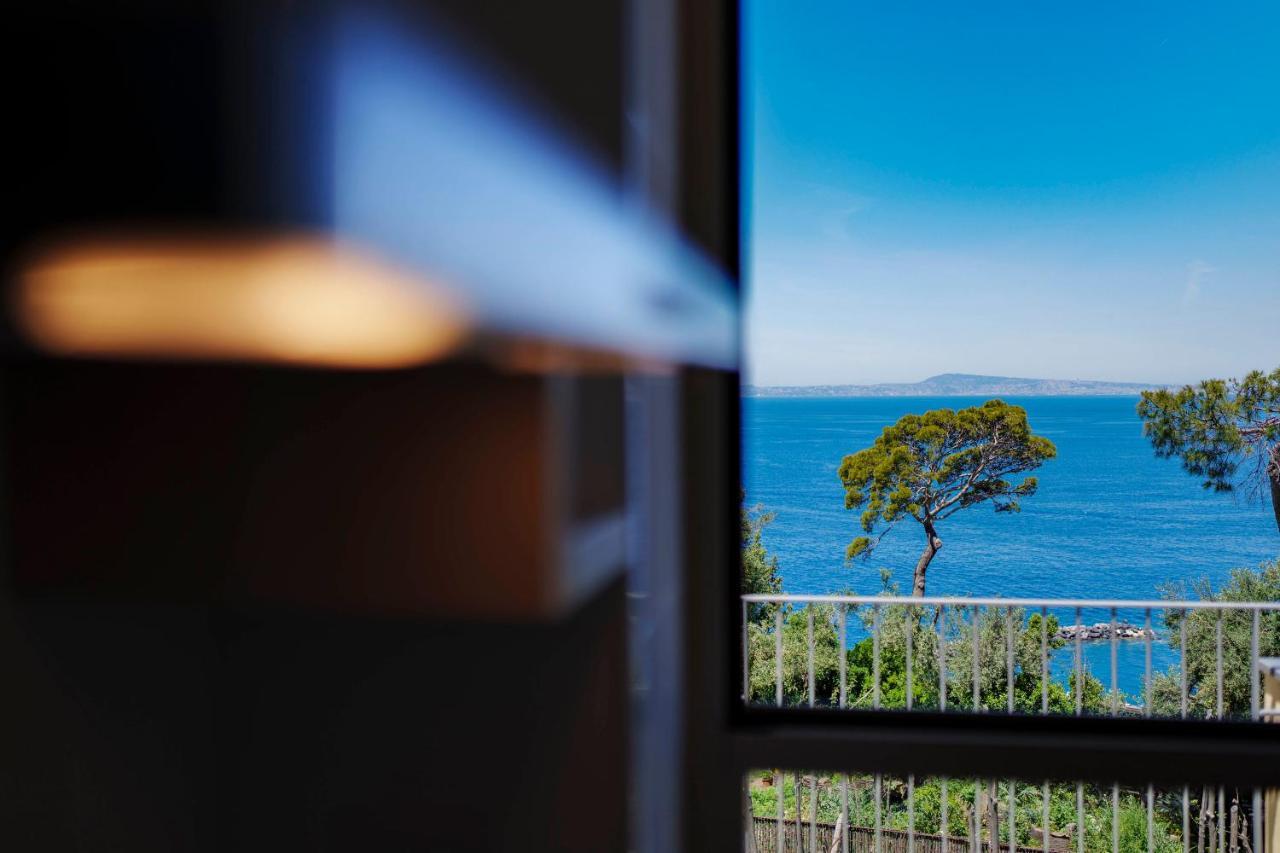 Villa Preziosa Al Pizzo 3 Km Da Sorrento Sant'Agnello Exteriör bild